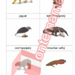 Jižní Amerika - PDF