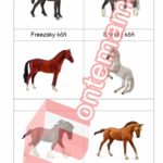 Koně Collecta - PDF