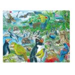 Zvířata Nového Zélandu - 53 dílků puzzle