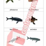 Prehistoričtí mořští živočichové Collecta - PDF
