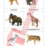 Prehistorická zvířata Collecta - PDF