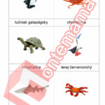 Tichý oceán - PDF