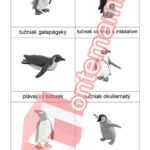 Tučňáci - PDF