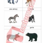 Zvířata ve volné přírodě Collecta - PDF