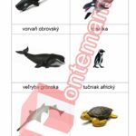 Zvířata v oceánu Collecta - PDF