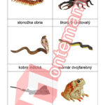 Jedovatá zvířata - PDF