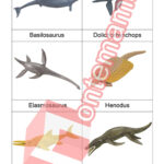 Podmořský prehistorický život - PDF